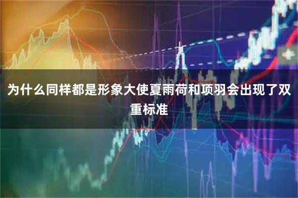 为什么同样都是形象大使夏雨荷和项羽会出现了双重标准